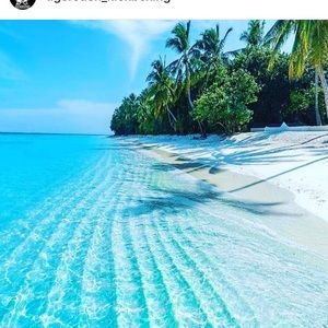 Meet your Posher, Selam